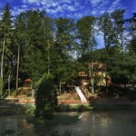 Skarpa parkowa przy Górnym Stawie w Głuchołazach porośnięta drzewami i krzewami nad alejką spacerową