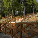 Alejki i zieleń wokół Górnego Stawu w Głuchołazach, z drzewami i łagodną skarpą parkową