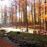 Jesienny Park Zdrojowy w Głuchołazach ze strumieniem, alejką i kolorowymi liśćmi na drzewach