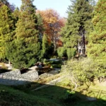 Aleja w Parku Zdrojowym w Głuchołazach z szpalerem drzew i alejką spacerową