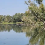 Jezioro Otmuchowskie - lustrzana tafla wody z odbiciami drzew i zieleni, OW Grek