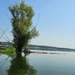 Jezioro Otmuchowskie - widok z drzewem nad wodą i zielenią, OW Grek