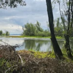 Jezioro Otmuchowskie - naturalne wybrzeże z drzewami i zielenią, OW Grek