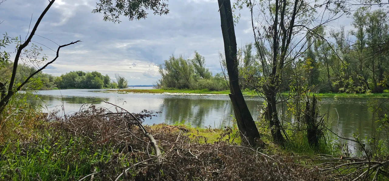 Jezioro Otmuchowskie - naturalne wybrzeże z drzewami i zielenią, OW Grek