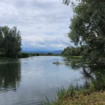 Jezioro Otmuchowskie - widok z naturą, zielenią i Górami Opawskimi w tle, OW Grek