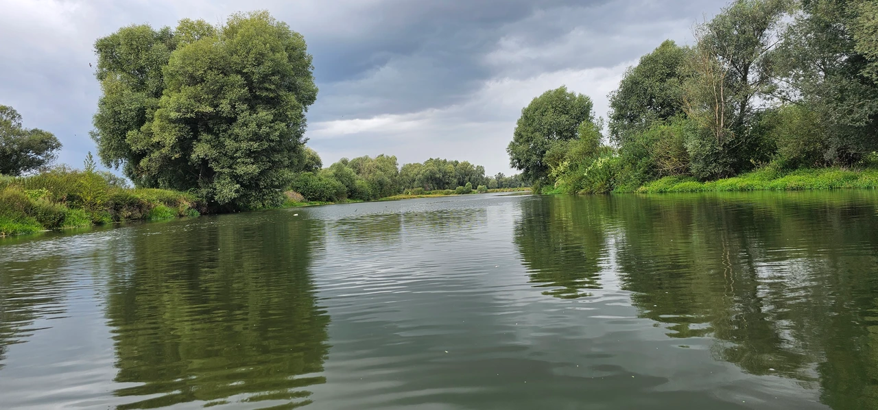 Jezioro Otmuchowskie - bujna zieleń i drzewa nad brzegiem, natura w pobliżu OW Grek